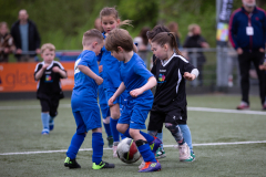 Schoolvoetbal-groep-1-2-104-van-193