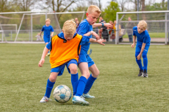 Schoolvoetbal-groep-5-6-118-van-162