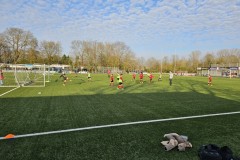 20230404_183129-Gemiddeld