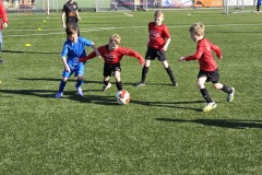 20230411_175119-Gemiddeld