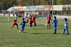 20230411_182020-Gemiddeld