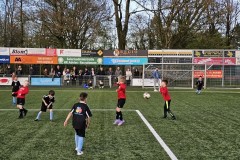 20230411_191239-Gemiddeld