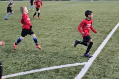 20230411_191254-Gemiddeld