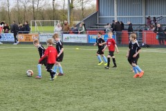 20230411_191951-Gemiddeld