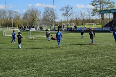 20230413_175426-Gemiddeld