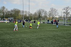 20230418_175930-Gemiddeld