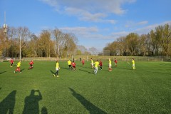 20230418_190308-Gemiddeld