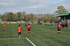 20230418_193635-Gemiddeld