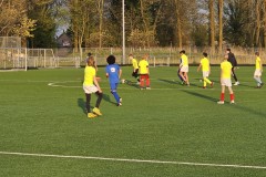 20230418_194144-Gemiddeld