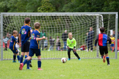 Zwanenburg-cup-3